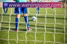 河南队逆袭辽宁铁人队精彩战绩分析